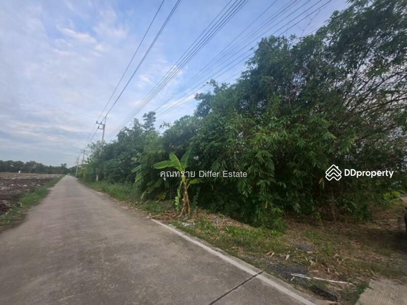 For Sale - Land Khlong 3, Pathum Thani