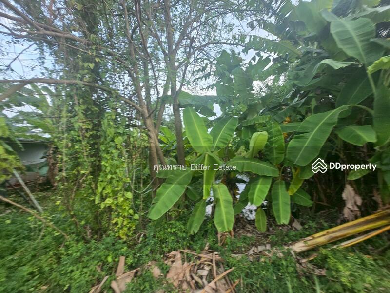 For Sale - Land Khlong 3, Pathum Thani