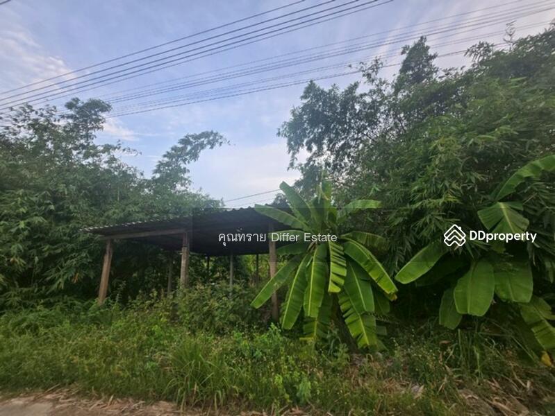 For Sale - Land Khlong 3, Pathum Thani