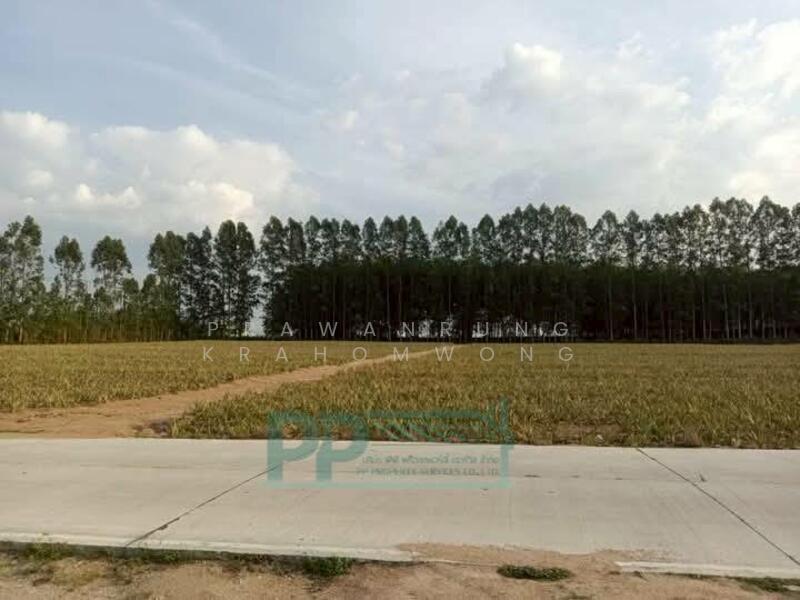 For Sale - #ขายที่ดินผังม่วงลาย เนื้อที่ 21-2-0.7 ไร่ เขาคันทรง อ.ศรีราชา จ.ชลบุรี CODE:PP1-L40-0625, Chon Buri (Pattaya)