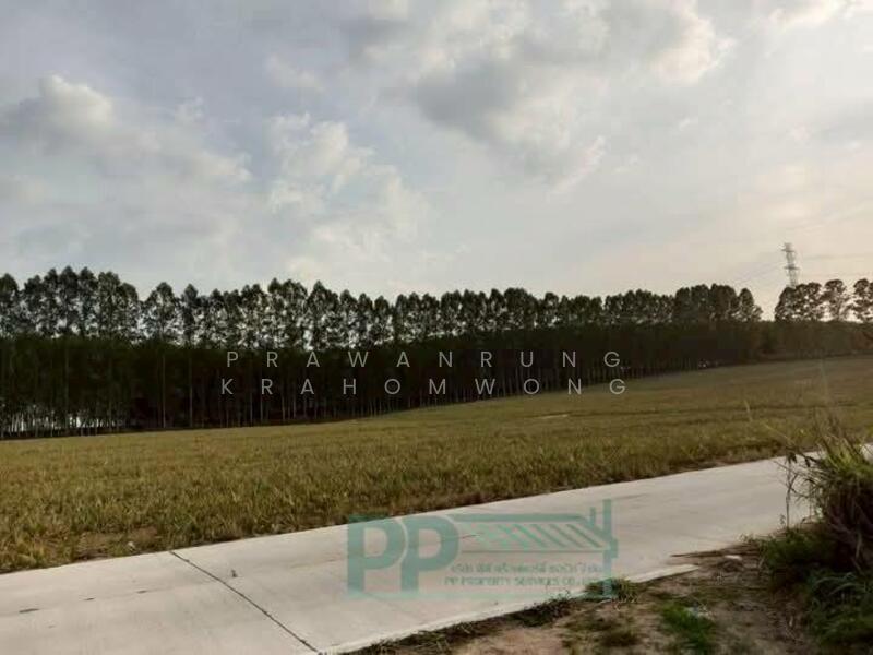 ขาย - #ขายที่ดินผังม่วงลาย เนื้อที่ 21-2-0.7 ไร่ เขาคันทรง อ.ศรีราชา จ.ชลบุรี CODE:PP1-L40-0625, ชลบุรี