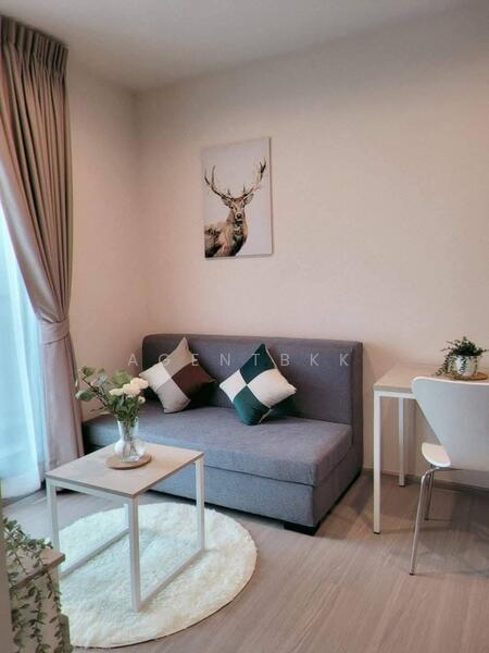 Aspire Erawan Prime, Samut Prakan, Sukhumvit Road, Pak Nam, Muang Samut Prakarn, Samut Prakan, 1 Bedroom, 27 sqm, Condo For Rent, by Agentbkk, 60053402 - DDproperty.com