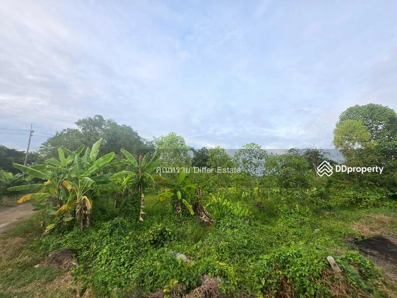 For Sale - Land Khlong 3, Pathum Thani