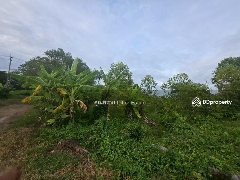 For Sale - Land Khlong 3, Pathum Thani