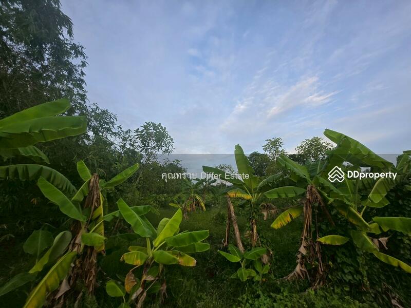 For Sale - Land Khlong 3, Pathum Thani
