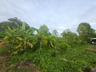 ขาย - ที่ดินคลอง 3, ปทุมธานี