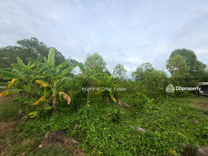 For Sale - Land Khlong 3, Pathum Thani