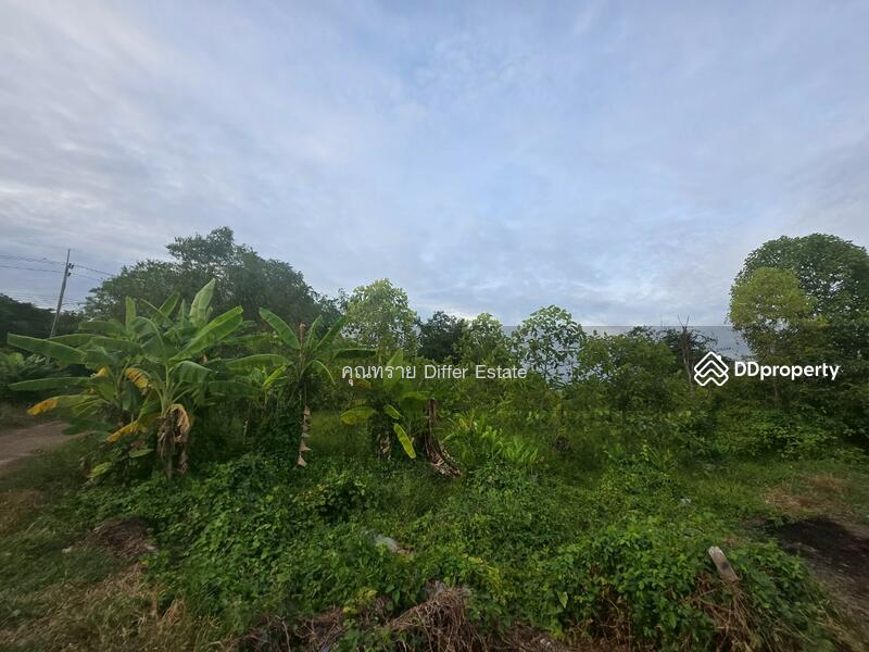For Sale - Land Khlong 3, Pathum Thani