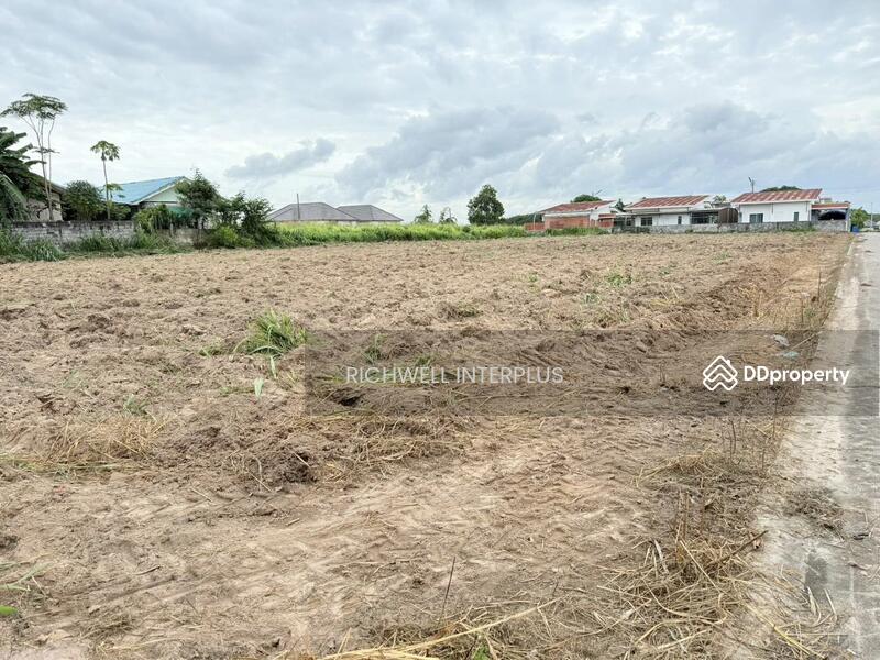 ขาย - ขายที่ดินนิคมพัฒนา 1 ไร่ ซอย5จับบาง ใกล้BYDใกล้ถนนเส้น3375-250เมตร, ระยอง