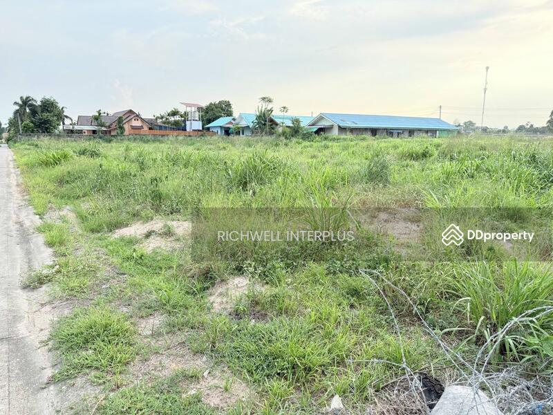 ขาย - ขายที่ดินนิคมพัฒนา 1 ไร่ ซอย5จับบาง ใกล้BYDใกล้ถนนเส้น3375-250เมตร, ระยอง