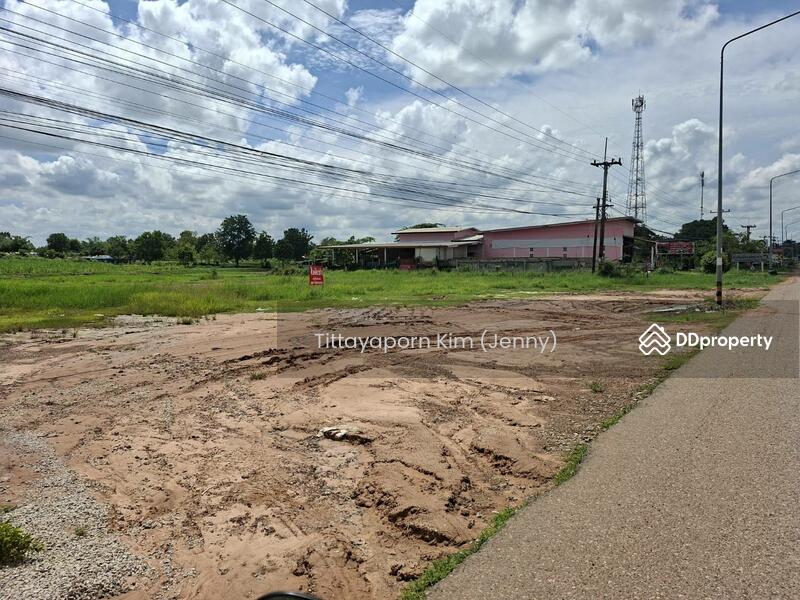 ให้เช่า - ที่ดินให้เช่า ถมแล้ว ติดถนน เชียงยืน - คำใหญ่ รวม 4 แปลง ใกล้ธนาคารเพื่อการเกษตรฯ อ. ชื่นชม, มหาสารคาม