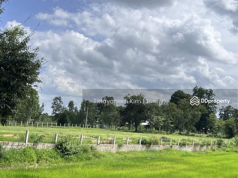 ให้เช่า - ที่ดินให้เช่า ถมแล้ว ติดถนน เชียงยืน - คำใหญ่ รวม 4 แปลง ใกล้ธนาคารเพื่อการเกษตรฯ อ. ชื่นชม, มหาสารคาม