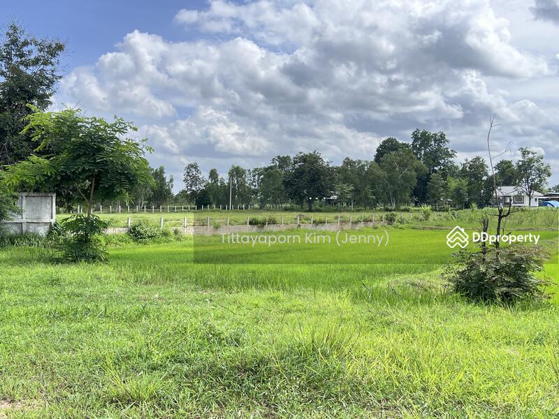 For Rent - ที่ดินให้เช่า ถมแล้ว ติดถนน เชียงยืน - คำใหญ่ รวม 4 แปลง ใกล้ธนาคารเพื่อการเกษตรฯ อ. ชื่นชม, Maha Sarakham