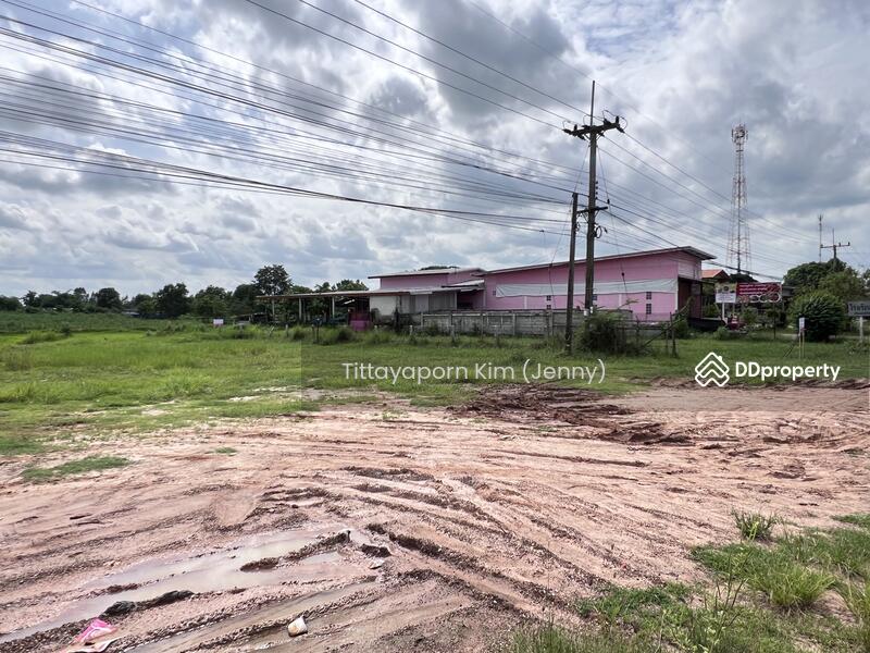 For Rent - ที่ดินให้เช่า ถมแล้ว ติดถนน เชียงยืน - คำใหญ่ รวม 4 แปลง ใกล้ธนาคารเพื่อการเกษตรฯ อ. ชื่นชม, Maha Sarakham