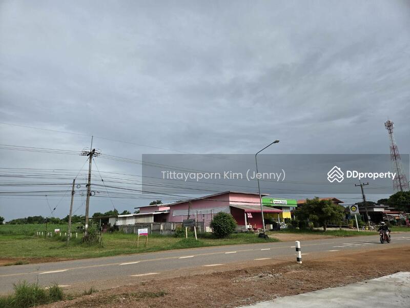 For Rent - ที่ดินให้เช่า ถมแล้ว ติดถนน เชียงยืน - คำใหญ่ รวม 4 แปลง ใกล้ธนาคารเพื่อการเกษตรฯ อ. ชื่นชม, Maha Sarakham