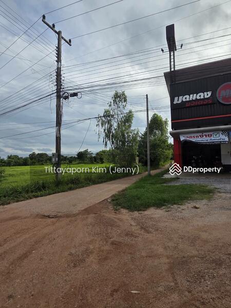 For Rent - ที่ดินให้เช่า ถมแล้ว ติดถนน เชียงยืน - คำใหญ่ รวม 4 แปลง ใกล้ธนาคารเพื่อการเกษตรฯ อ. ชื่นชม, Maha Sarakham