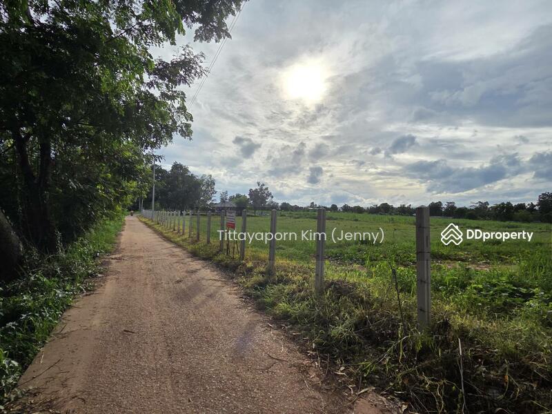 For Rent - ที่ดินให้เช่า ถมแล้ว ติดถนน เชียงยืน - คำใหญ่ รวม 4 แปลง ใกล้ธนาคารเพื่อการเกษตรฯ อ. ชื่นชม, Maha Sarakham