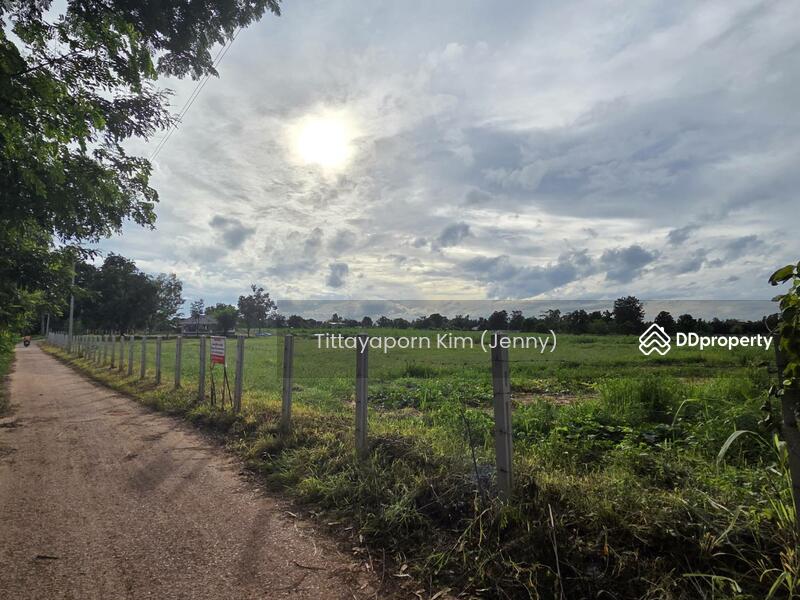 ให้เช่า - ที่ดินให้เช่า ถมแล้ว ติดถนน เชียงยืน - คำใหญ่ รวม 4 แปลง ใกล้ธนาคารเพื่อการเกษตรฯ อ. ชื่นชม, มหาสารคาม