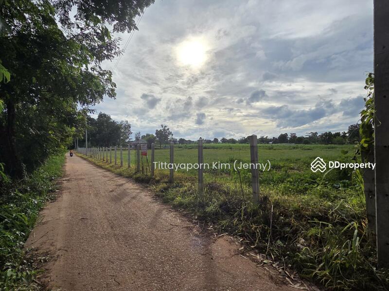 ให้เช่า - ที่ดินให้เช่า ถมแล้ว ติดถนน เชียงยืน - คำใหญ่ รวม 4 แปลง ใกล้ธนาคารเพื่อการเกษตรฯ อ. ชื่นชม, มหาสารคาม