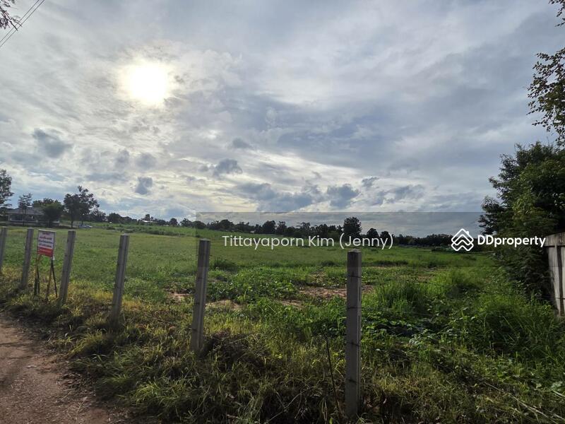 For Rent - ที่ดินให้เช่า ถมแล้ว ติดถนน เชียงยืน - คำใหญ่ รวม 4 แปลง ใกล้ธนาคารเพื่อการเกษตรฯ อ. ชื่นชม, Maha Sarakham