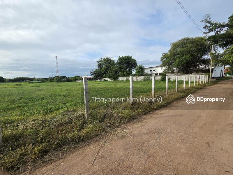 For Rent - ที่ดินให้เช่า ถมแล้ว ติดถนน เชียงยืน - คำใหญ่ รวม 4 แปลง ใกล้ธนาคารเพื่อการเกษตรฯ อ. ชื่นชม, Maha Sarakham