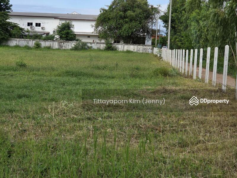 For Rent - ที่ดินให้เช่า ถมแล้ว ติดถนน เชียงยืน - คำใหญ่ รวม 4 แปลง ใกล้ธนาคารเพื่อการเกษตรฯ อ. ชื่นชม, Maha Sarakham