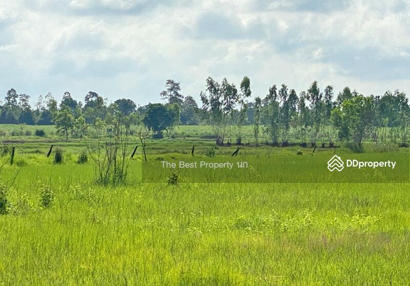 ขาย - ที่ดินบ้านฝาง ขอนแก่น, ขอนแก่น