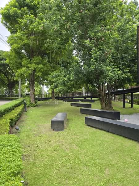 The City Pattanakarn, Bangkok, On Nut Road, Prawet, Bangkok, 4 Bedrooms, 340 sqm, Single Detached House For Sale, by Ann S, 60054629 - DDproperty.com