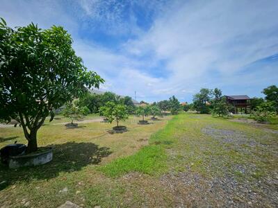 ขาย - ขายที่ดิน รังสิต คลอง 2 ซอยบงกต 33 คลองหลวง ถมแล้ว แปลงสวย ขนาด 6 ไร่ ราคา 48,000,000, ปทุมธานี