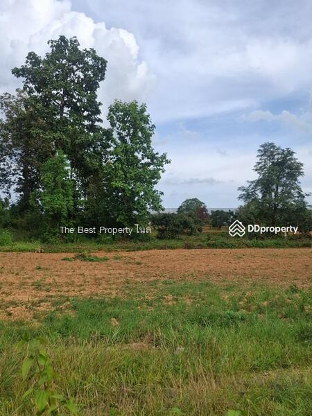 For Sale - ที่ดินเทิง เชียงราย, Chiang Rai