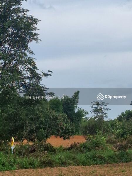 For Sale - ที่ดินเทิง เชียงราย, Chiang Rai