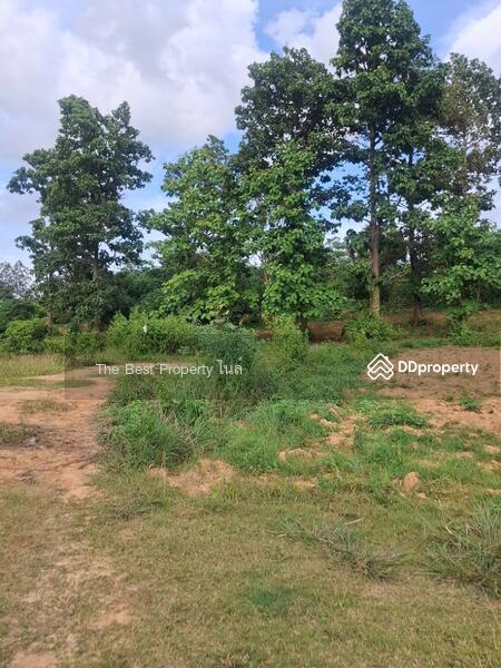 For Sale - ที่ดินเทิง เชียงราย, Chiang Rai