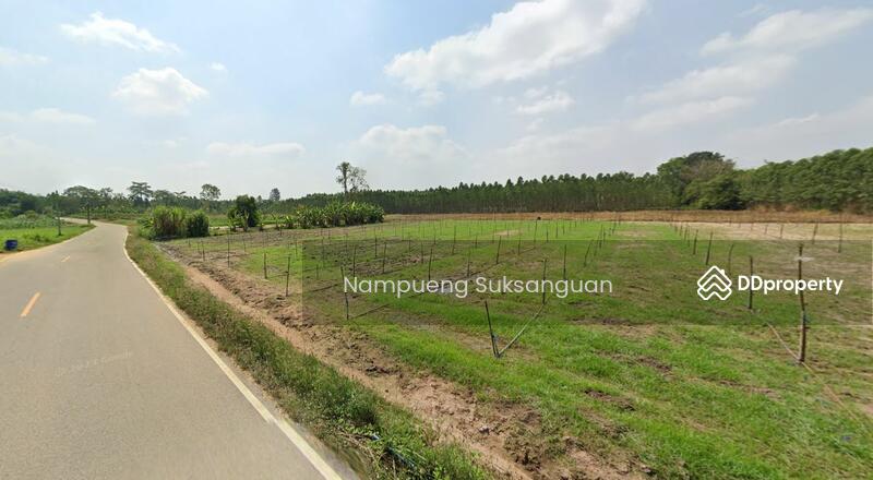 ขาย - ขายที่ดิน ต.วังเย็น อ.แปลงยาว จ.ฉะเชิงเทรา, ฉะเชิงเทรา