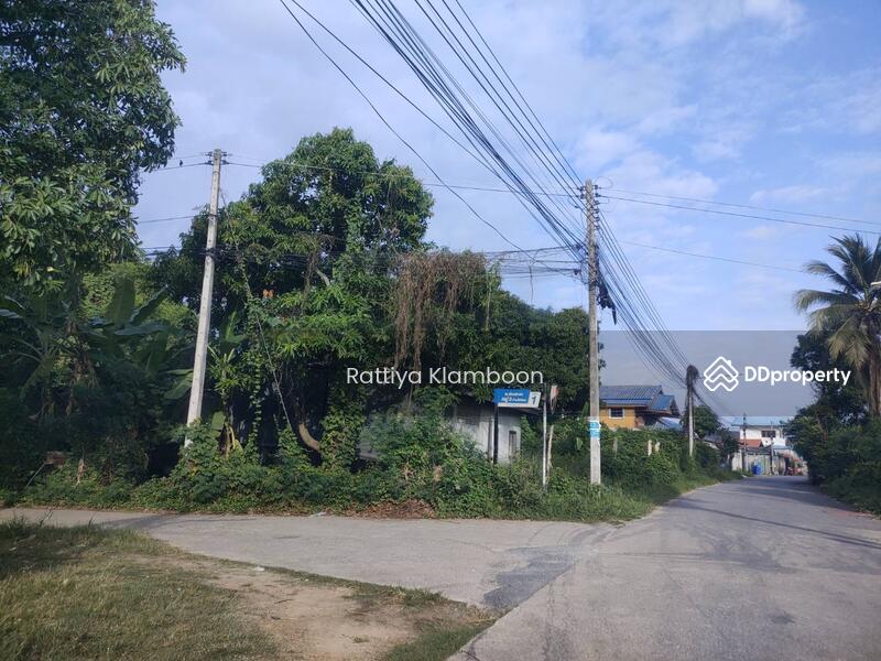 ซอยทางเข้าที่ดิน