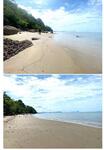 Sale Land 52-0-90.7 Rai Krabi, กระบี่