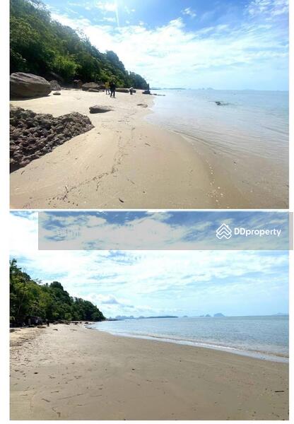 For Sale - Sale Land 52-0-90.7 Rai Krabi, Krabi