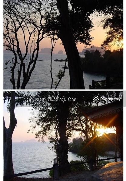 For Sale - Sale Land 52-0-90.7 Rai Krabi, Krabi