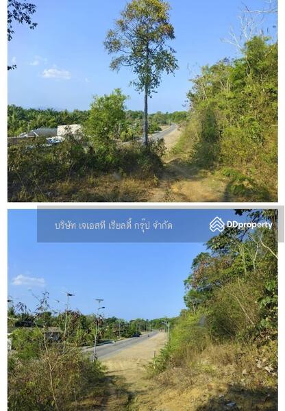 For Sale - Sale Land 52-0-90.7 Rai Krabi, Krabi