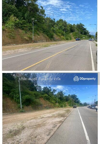 For Sale - Sale Land 52-0-90.7 Rai Krabi, Krabi
