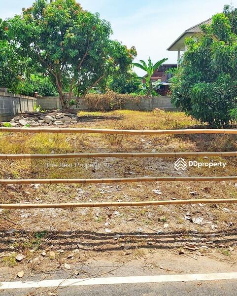 For Sale - ที่ดินท่าวังผา น่าน, Nan