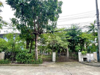 ขาย - Chonlada Wongwan Rattanathibet : ชลลดา วงแหวน รัตนาธิเบศร์, นนทบุรี