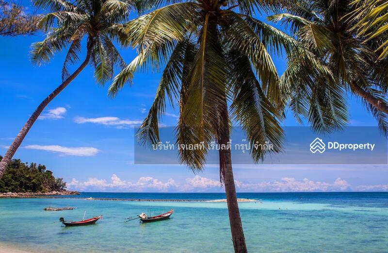 ขาย - &quot;Phangan Beach Resort Resort Phangan Suratthani&quot;, สุราษฎร์ธานี