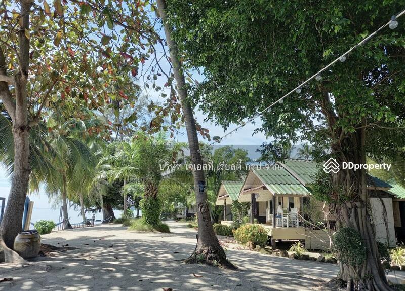 ขาย - &quot;Phangan Beach Resort Resort Phangan Suratthani&quot;, สุราษฎร์ธานี
