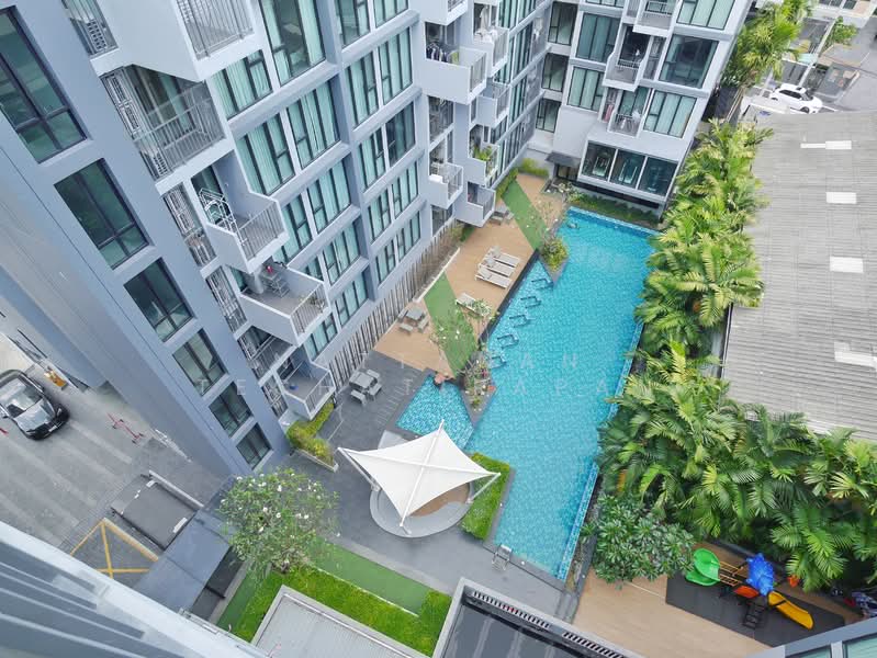 DEFINE by Mayfair Sukhumvit 50 : ดีฟายน์ บาย เมแฟร์ สุขุมวิท 50, กรุงเทพ, ซอยสุขุมวิท 50, พระโขนง, คลองเตย, กรุงเทพ, 53 ตร.ม., คอนโด ให้เช่า, โดย Nattanan Techatirapan, 60055236 - DDproperty.com