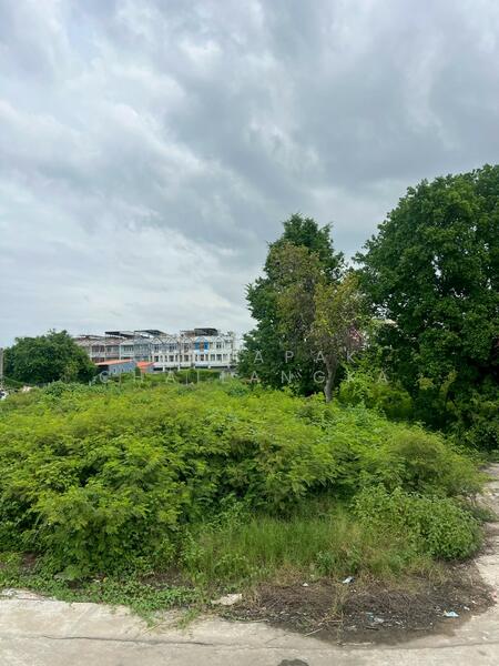 For Sale - สมุทรสาคร, Samut Sakhon