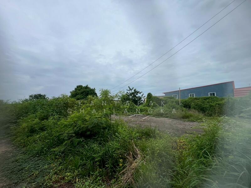 For Sale - สมุทรสาคร, Samut Sakhon