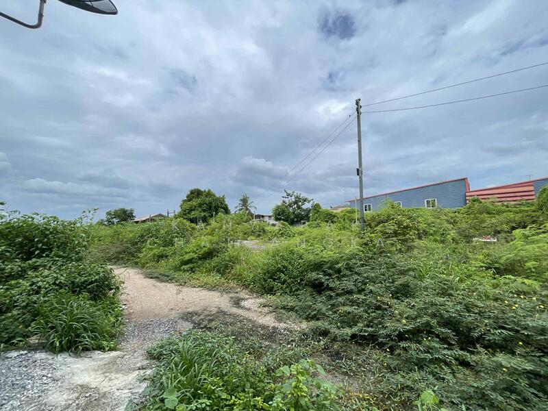 For Sale - สมุทรสาคร, Samut Sakhon