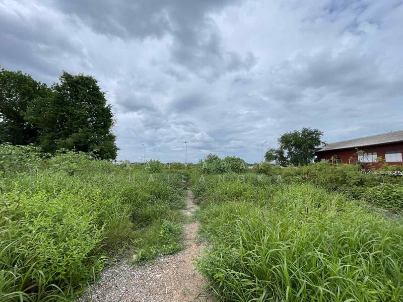 For Sale - สมุทรสาคร, Samut Sakhon