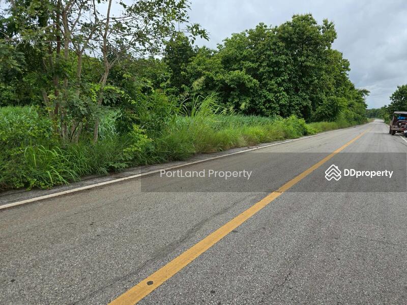 ขาย - ขายที่ดินเกษตรไผ่ใหญ่ 51-1-56 ไร่ ดินดำโดยธรรมชาติ เป็นที่เนิน น้ำไม่ท่วม, อุตรดิตถ์