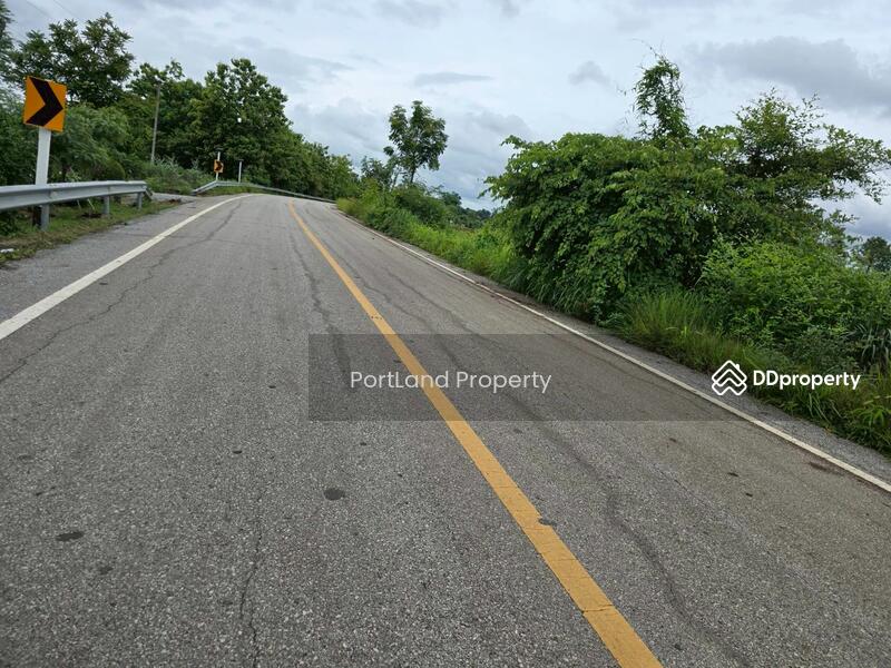 ขาย - ขายที่ดินเกษตรไผ่ใหญ่ 51-1-56 ไร่ ดินดำโดยธรรมชาติ เป็นที่เนิน น้ำไม่ท่วม, อุตรดิตถ์
